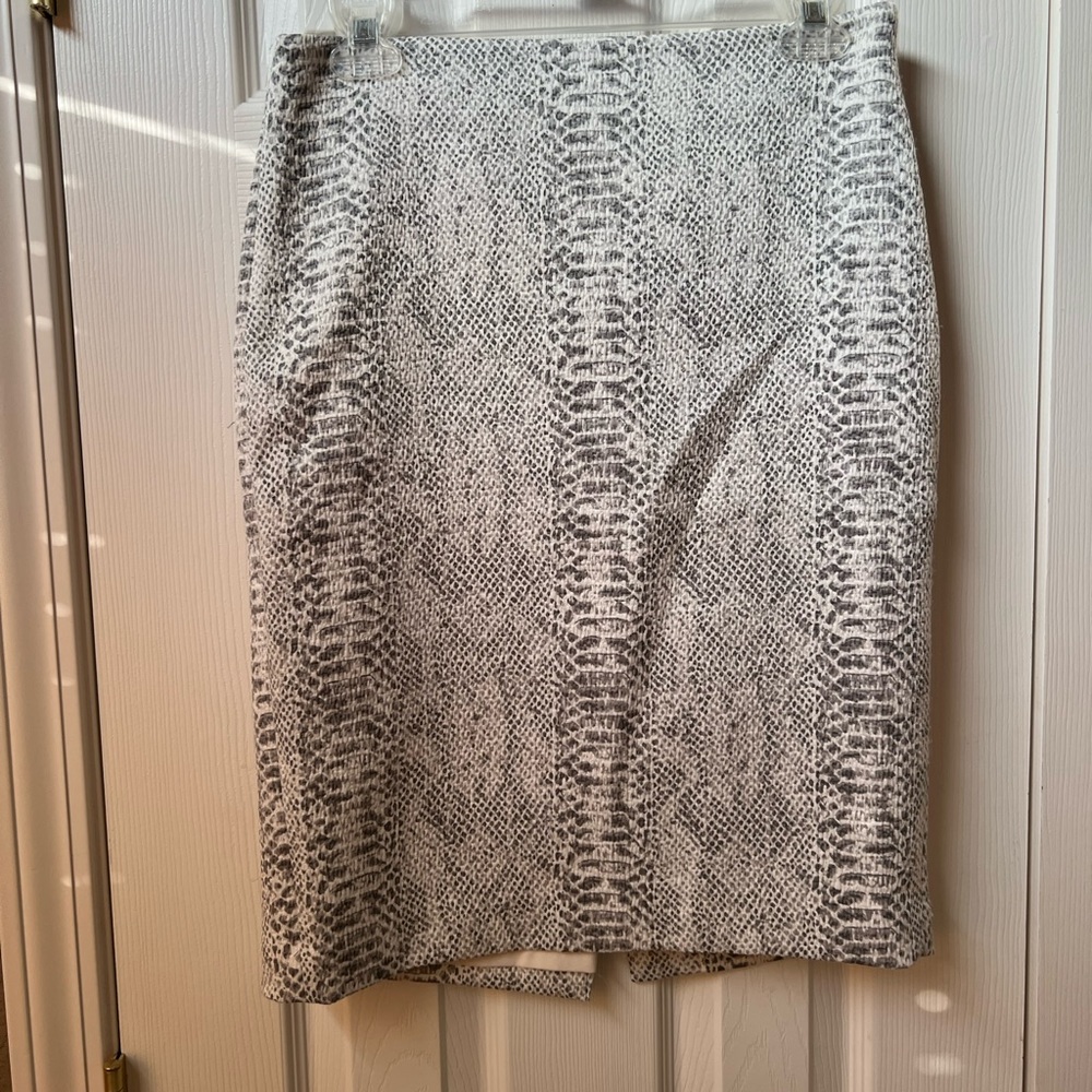 Ann Taylor skirt